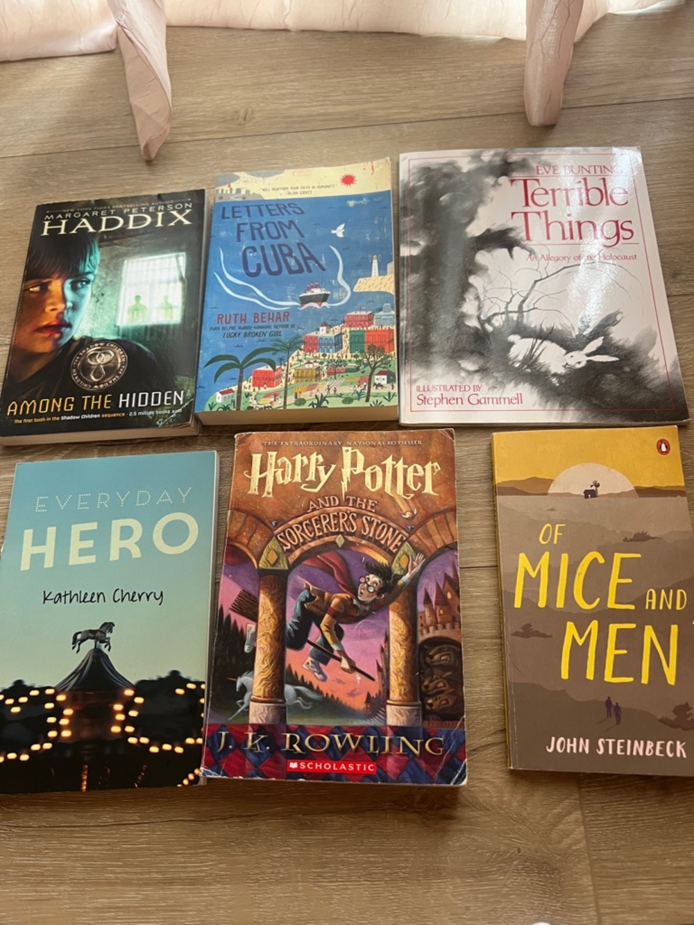 Mixed Paperback Book Lot - Harry Potter, Of Mice and Men, Everyday Hero & More